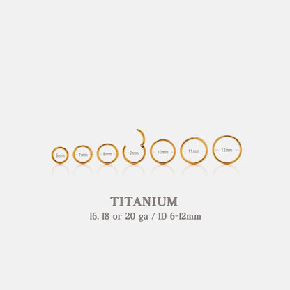 G23 Titanium Waterproof Round Earring or Nose Ring