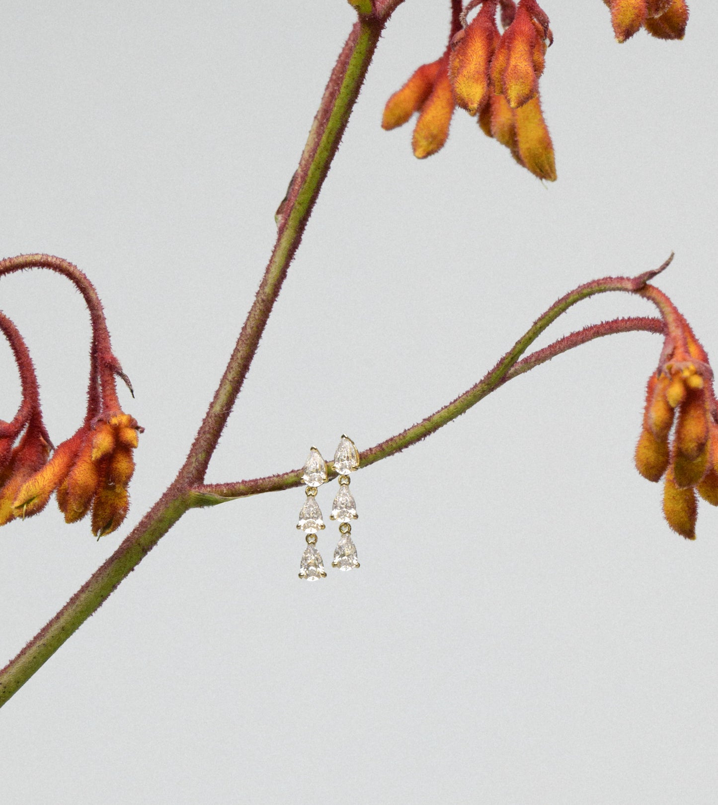 Venus Earrings